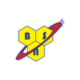 logo BSN